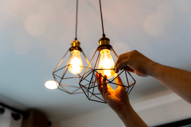 Best Home Electrical Repair  in Mirrormont, WA